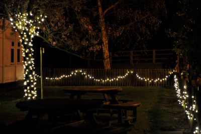 Fairy Lighting for Tree and Fences