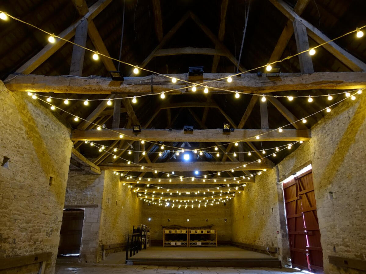 Festoon Canopy
