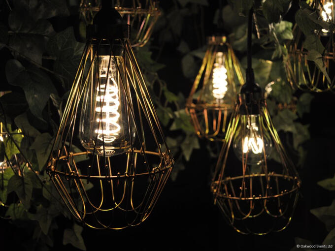 Edison bulb cages