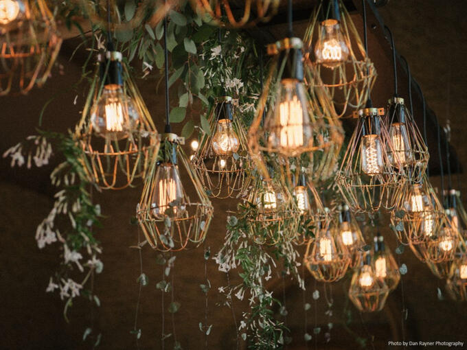 Edison bulbs in cages with greenery