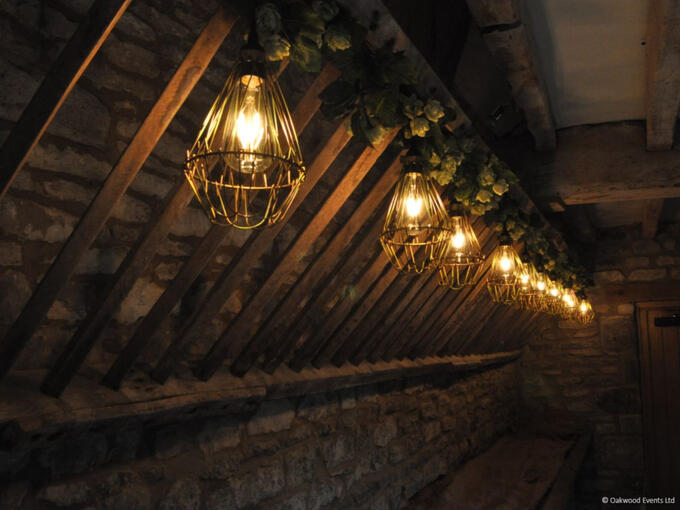 Edison bulbs in cages